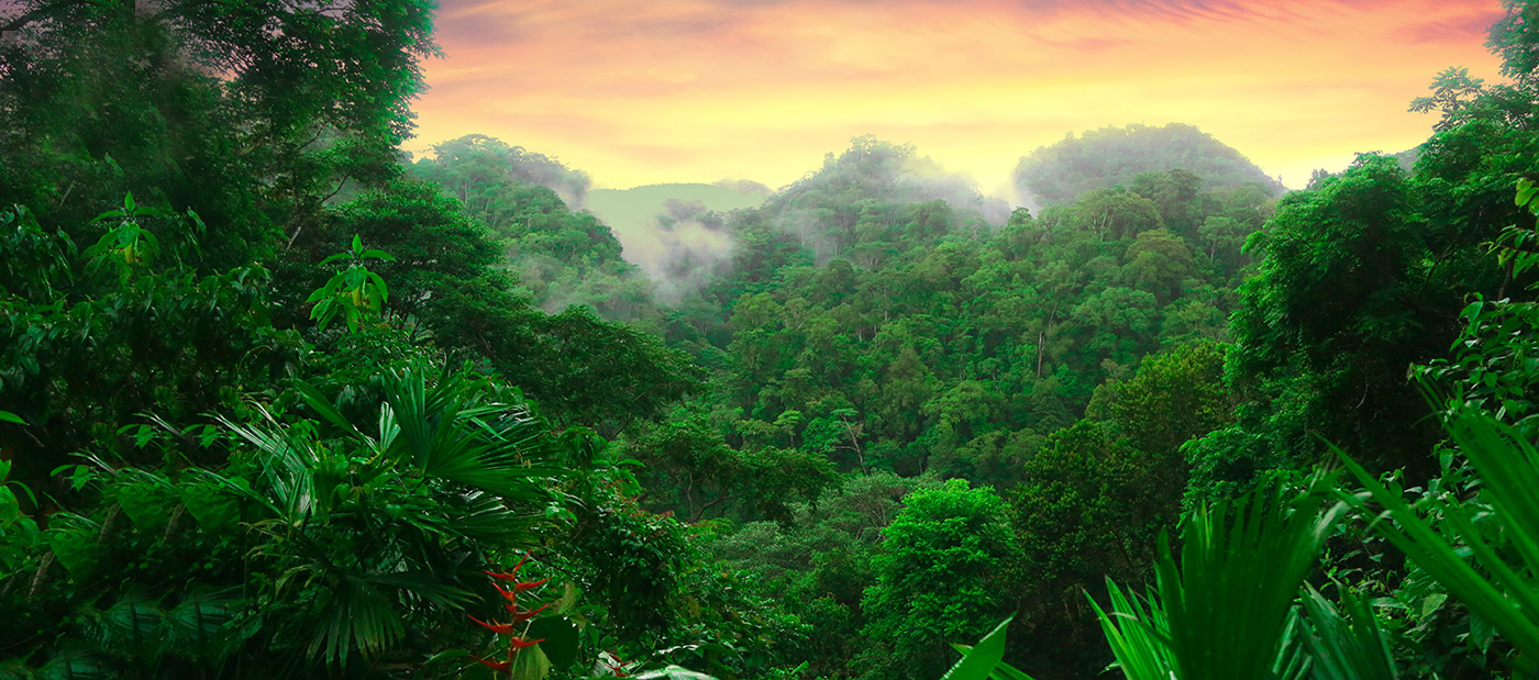 costarica.jpg