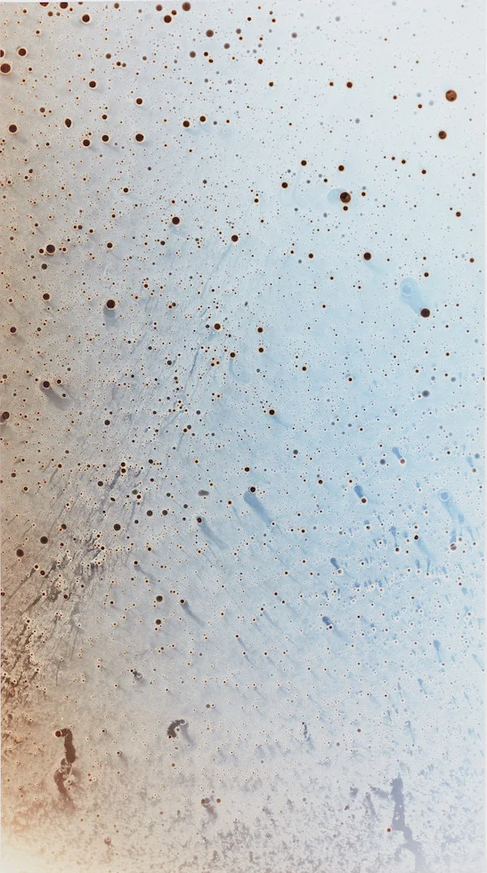 Johnna Arnold, 2006 Subaru Forester #08, 2018, unique chromogenic print, 69 x 30 in.