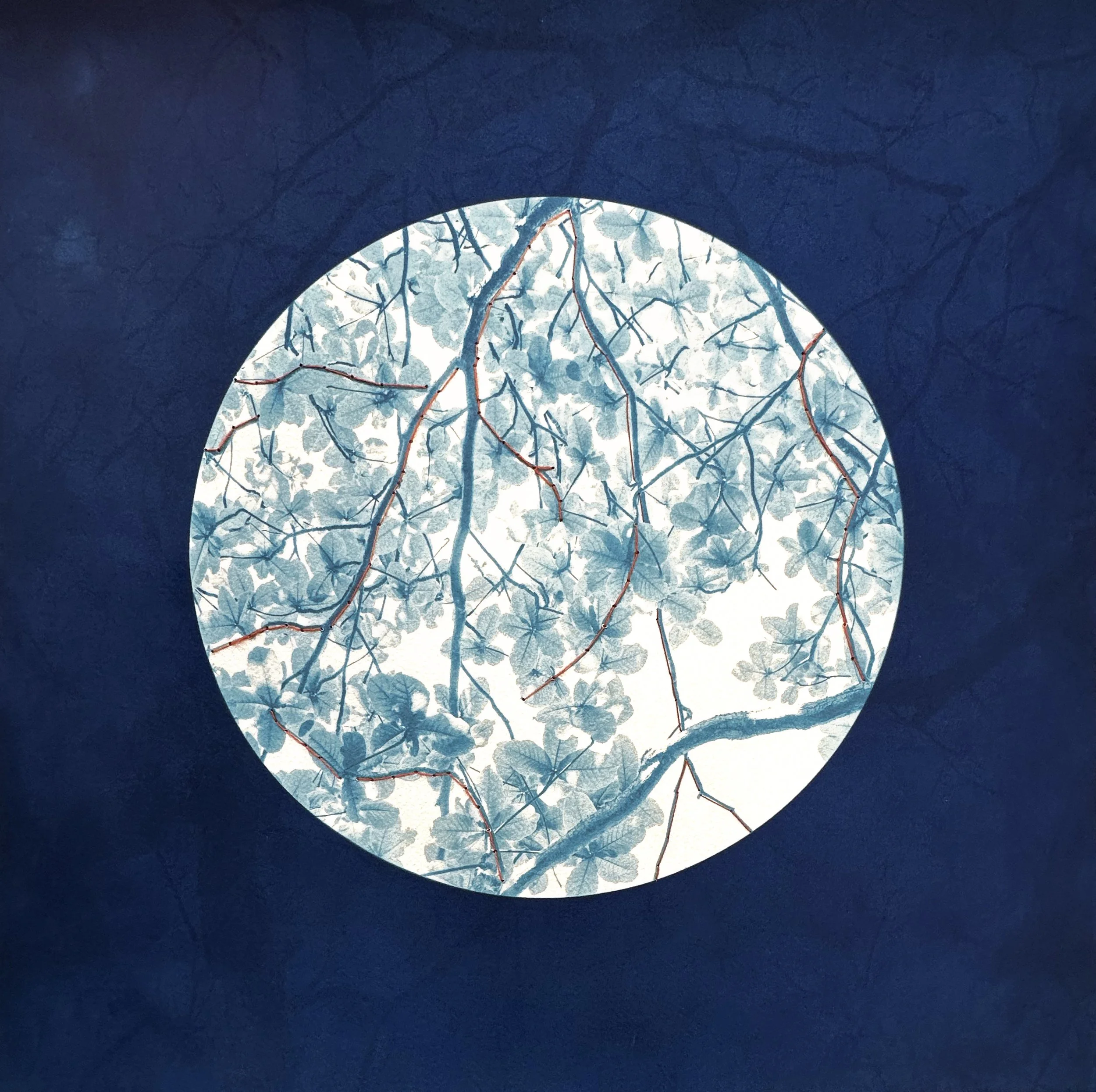 Dora Somosi, Mending Kamani 2, 2025, Double exposed cyanotype on Arches watercolor paper with natural dyed, madder root, embroidery, 19 x 19 in. (framed)