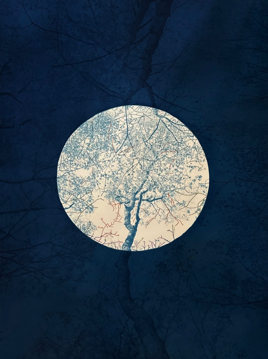 Dora Somosi, Mending Sugar, 2024, double coated and hand printed cyanotype on Arches watercolor paper with natural dyed embroidery, 41 ⅞ x 30 ⅞ in.