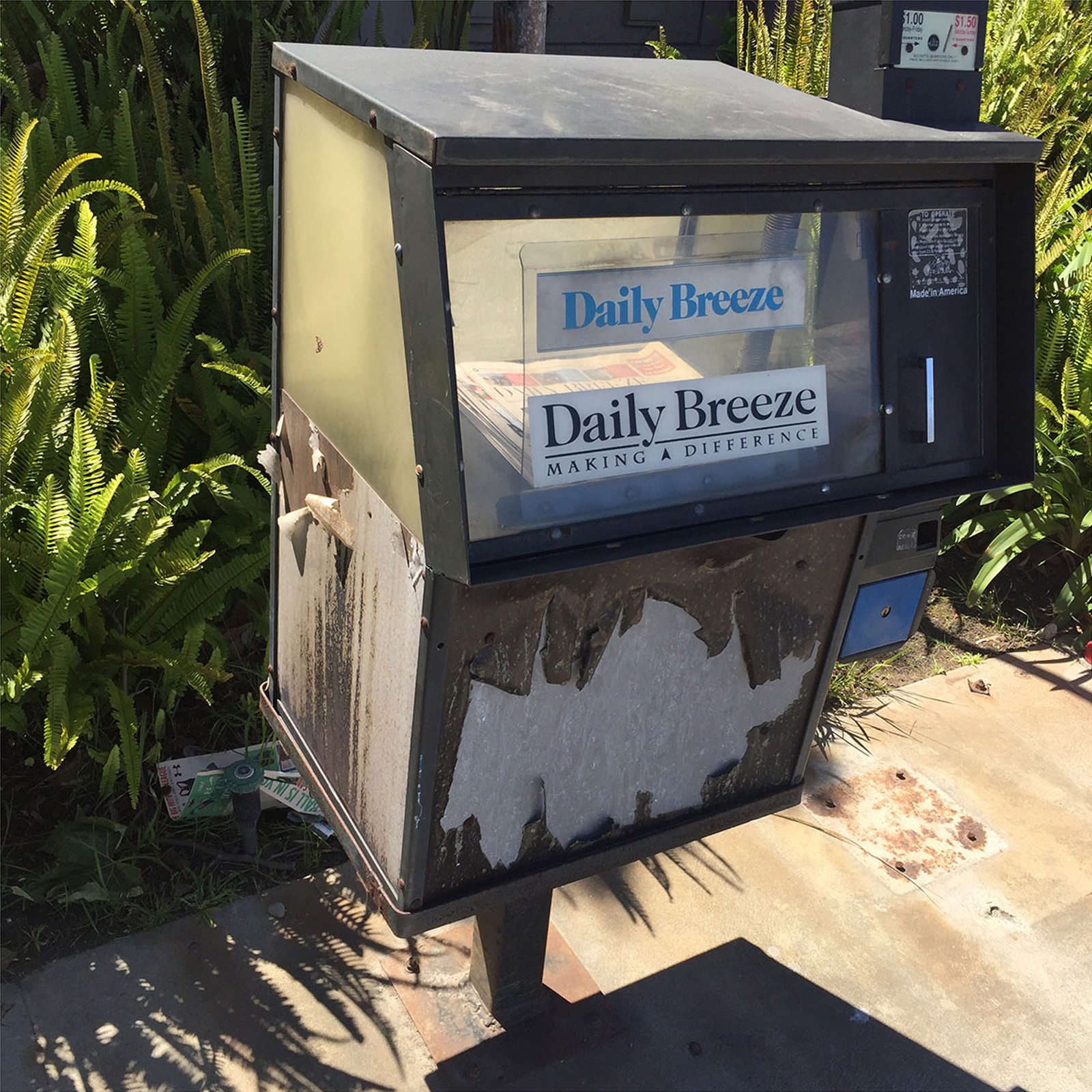 DAILY NEWS - ORIGINAL.png