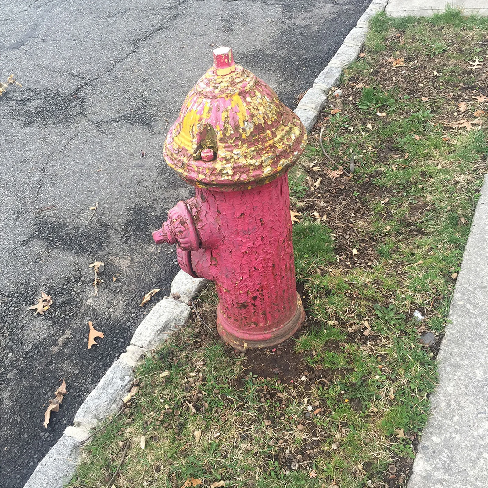 SUMMER SPLASH - ORIGINAL.jpg