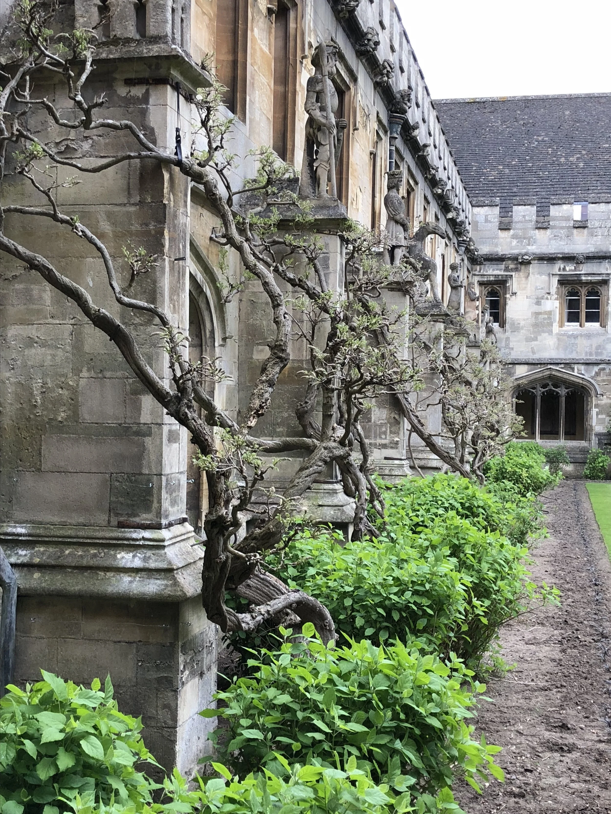 Magdalen College Quad