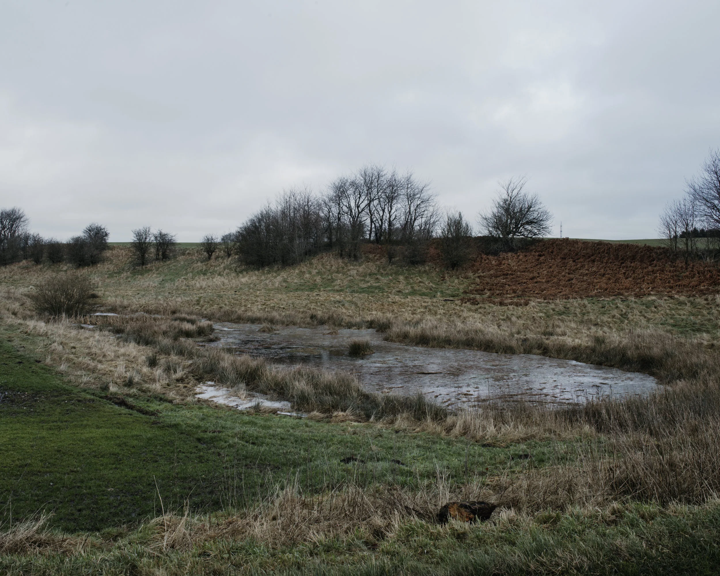 Aarslev, Denmark. January, 2018.