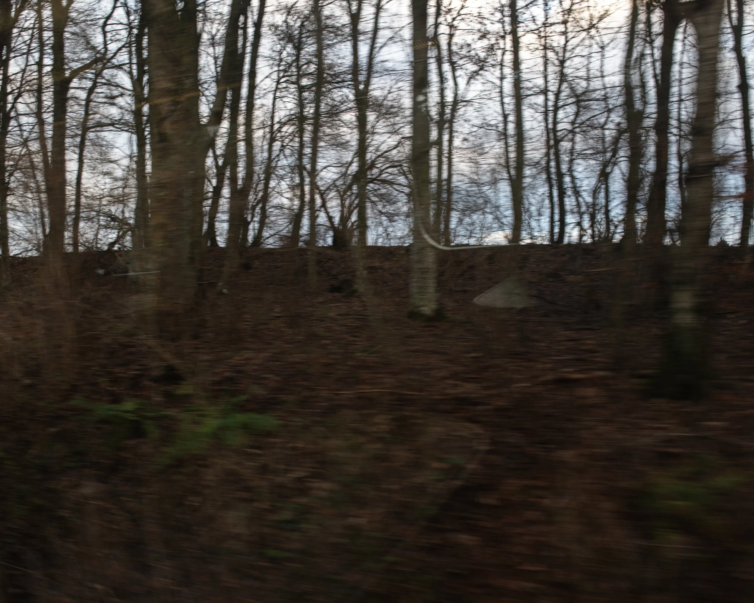 TO_AALBORG_Dec042019_0048 copy.jpg