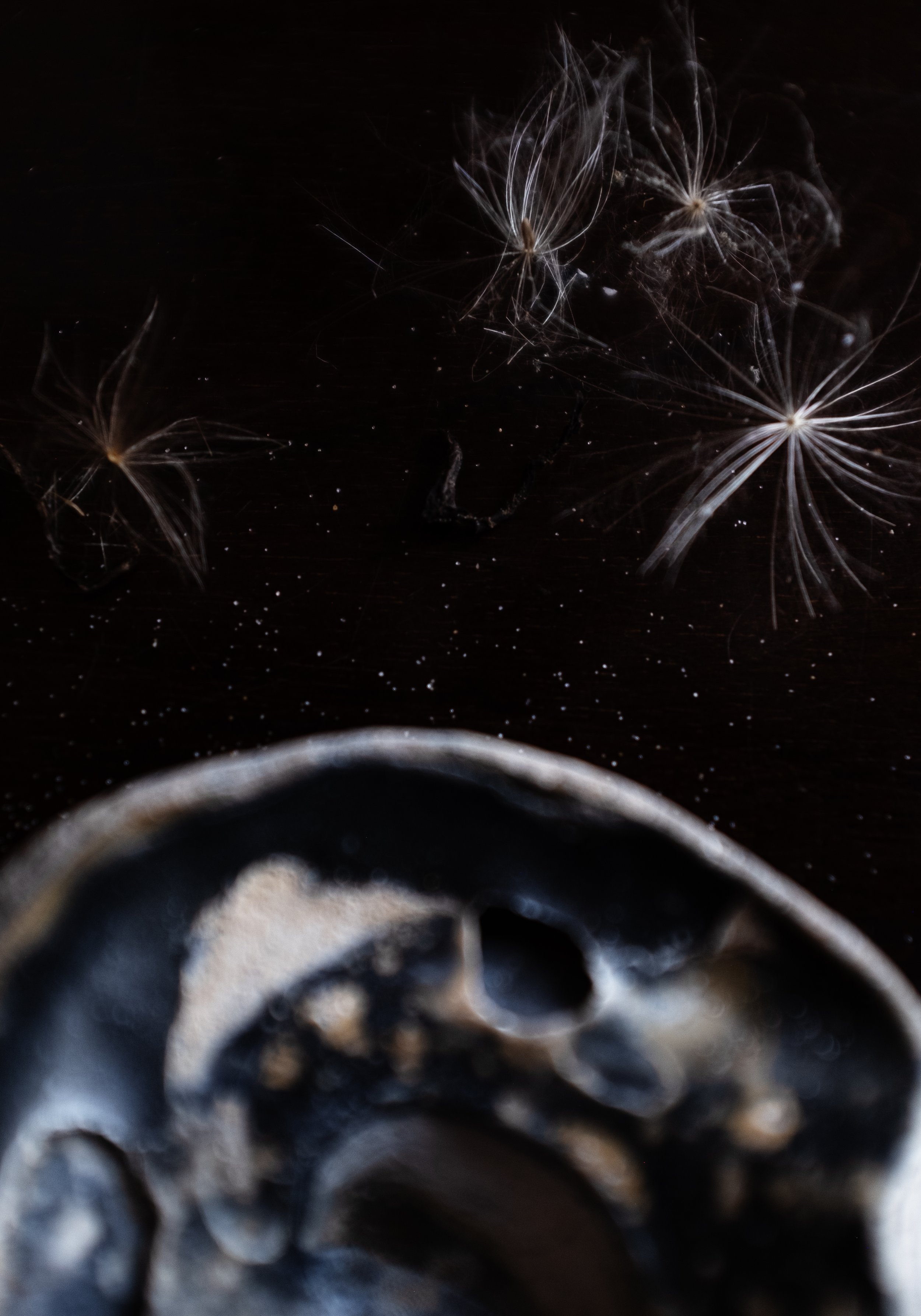  supernovas over earth. 