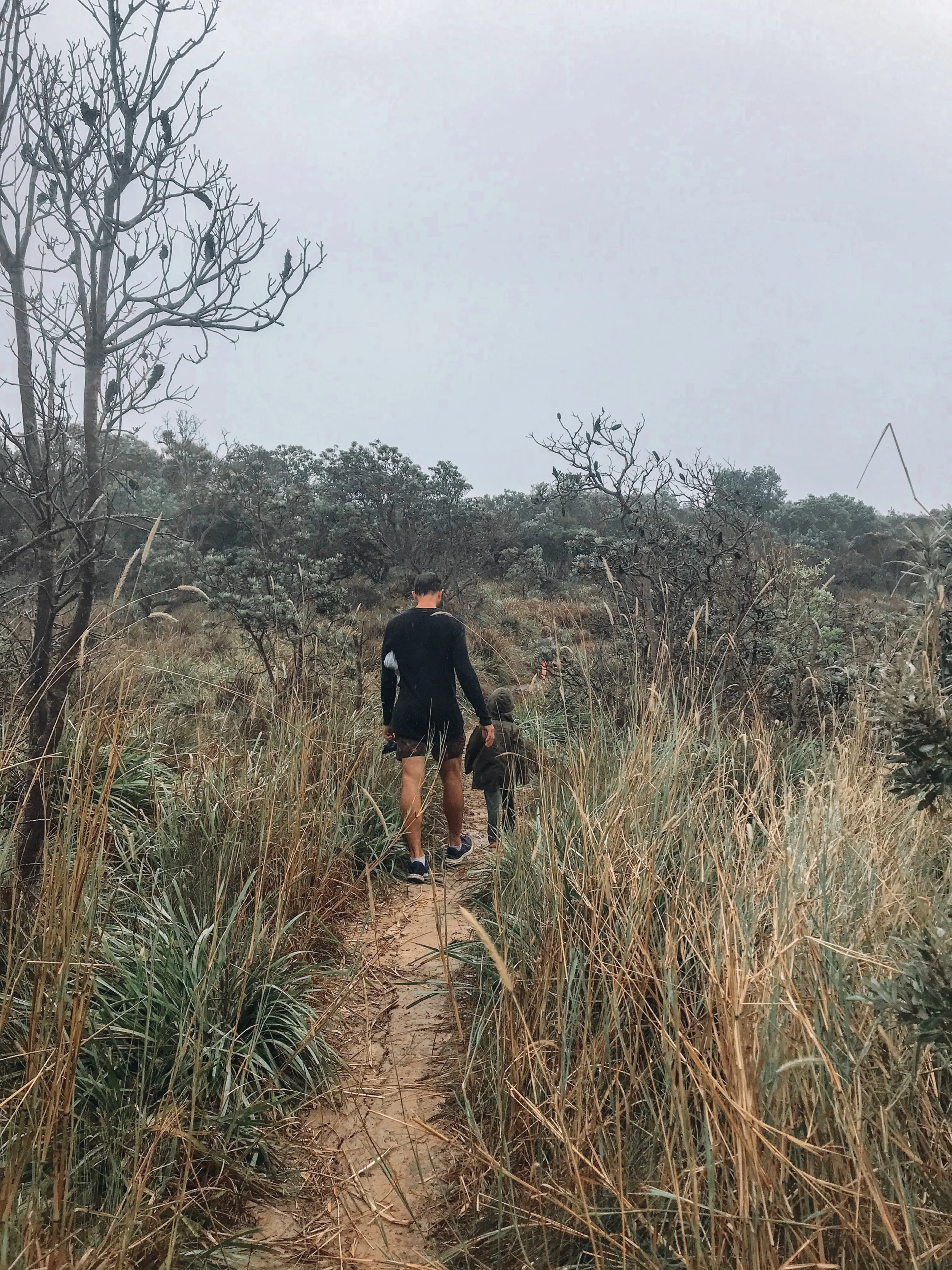 Dirawong Reserve coastal walk