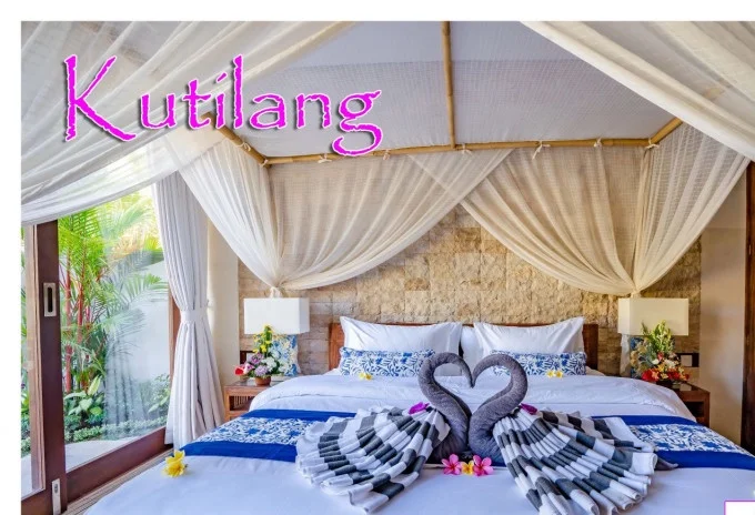 1550738214_21-02-2019_Kutilang_3b.jpg