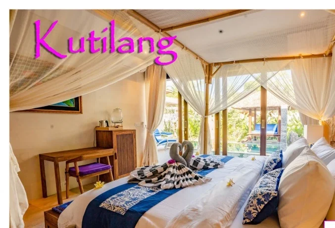 1550738174_21-02-2019_Kutilang_1b.jpg