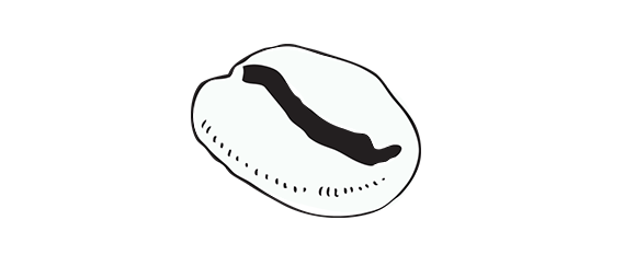 Bean.png
