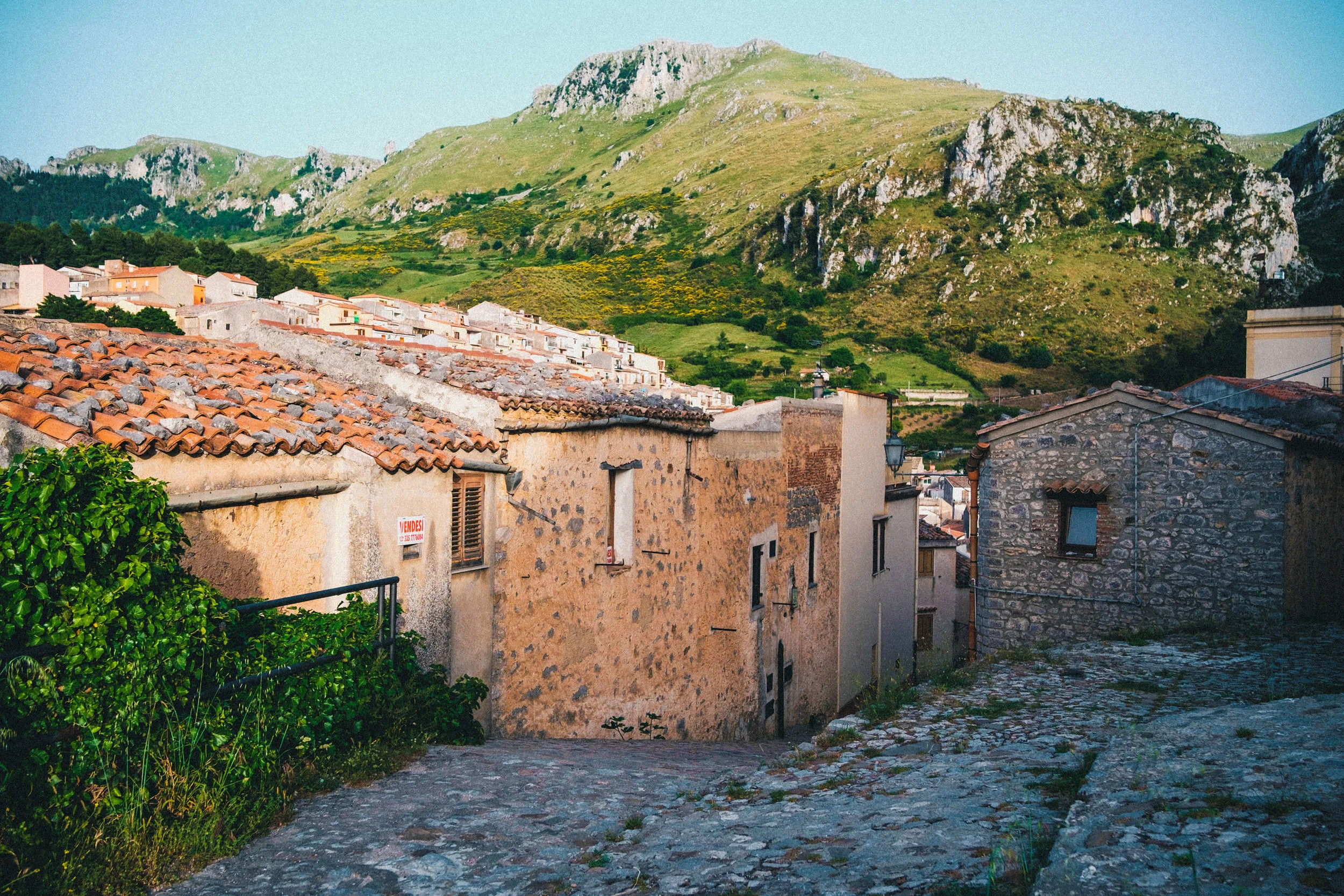 DSCF6842.jpg