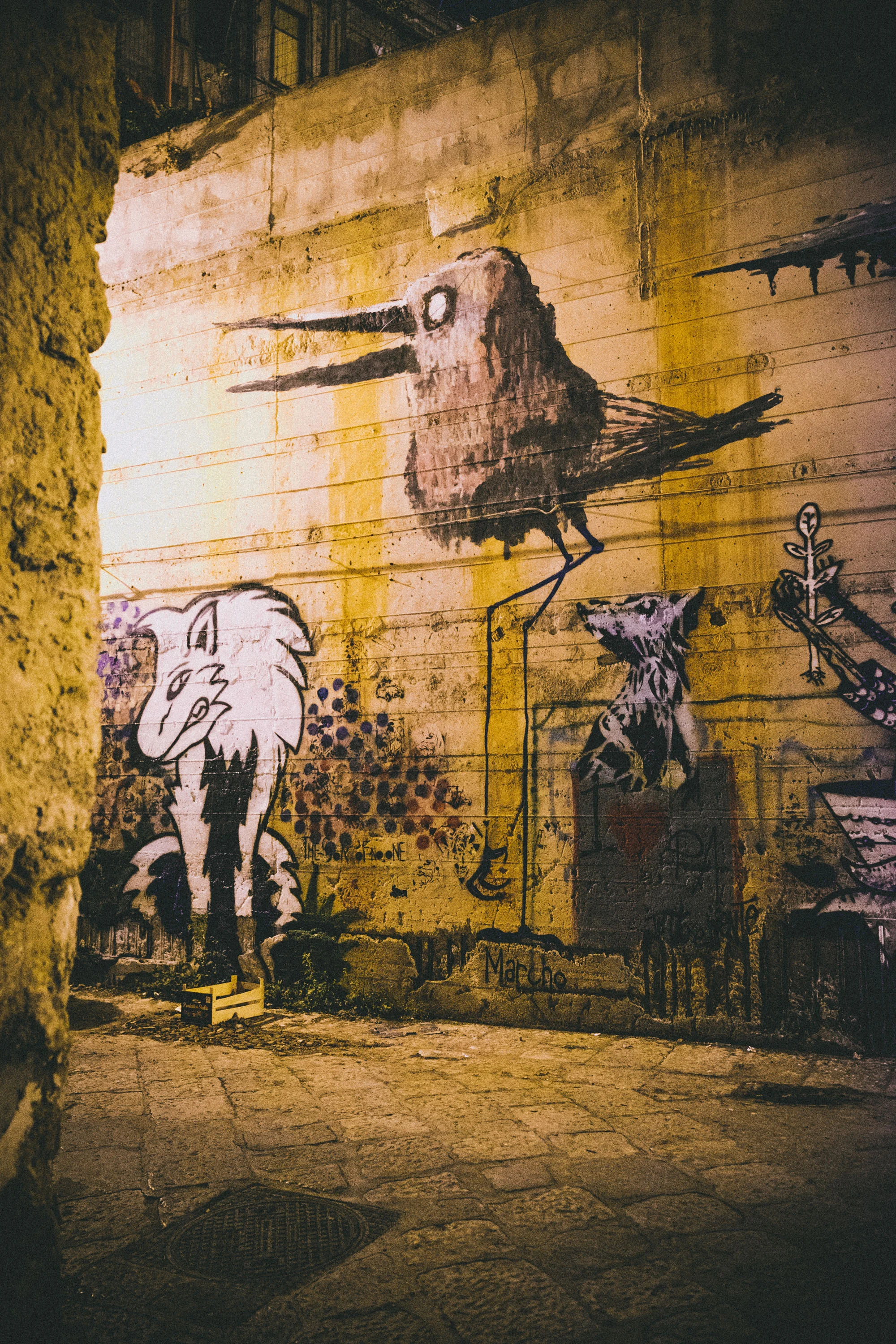 DSCF7913.jpg