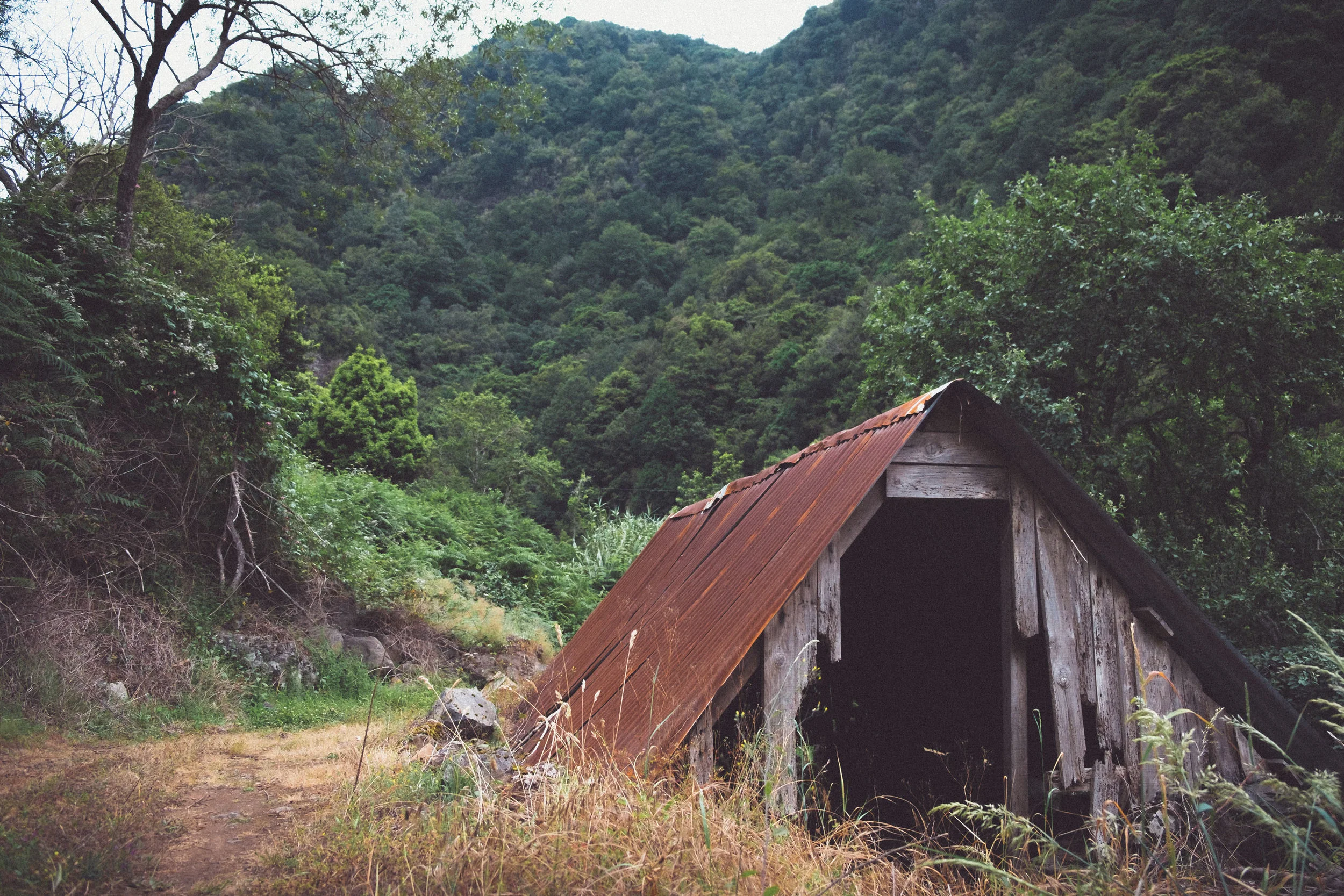 DSCF2998.jpg