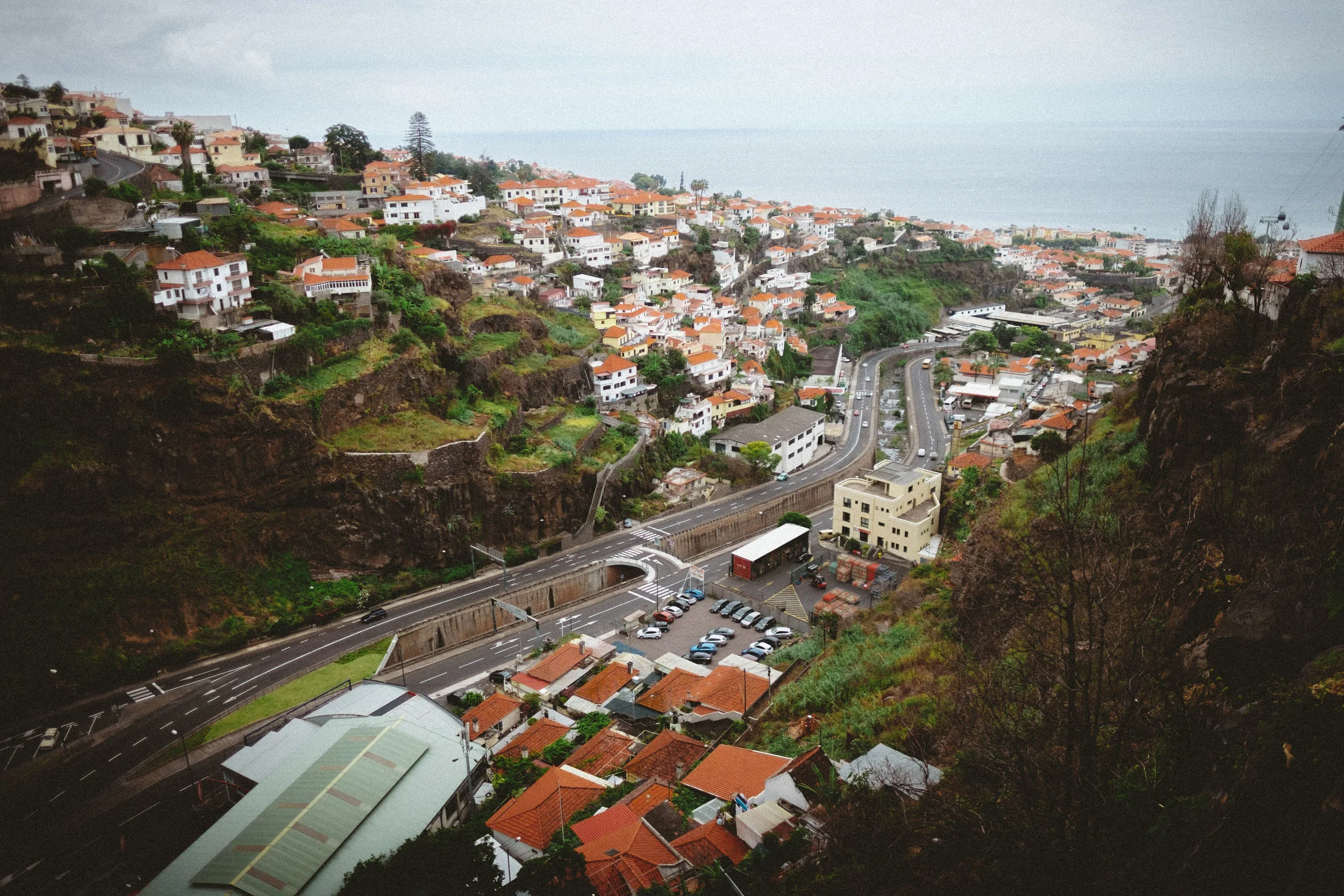 DSCF2617.jpg