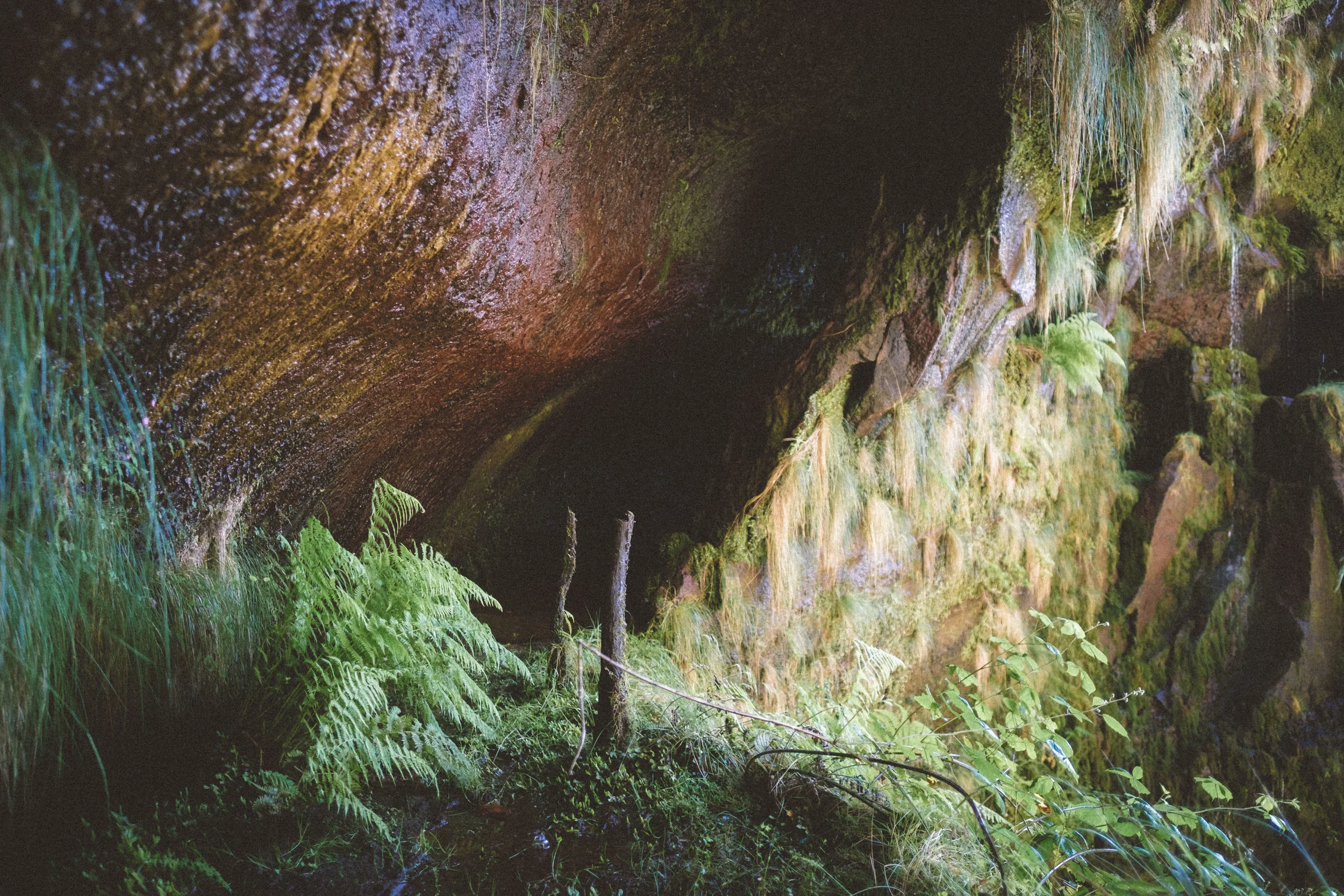 DSCF5651.jpg