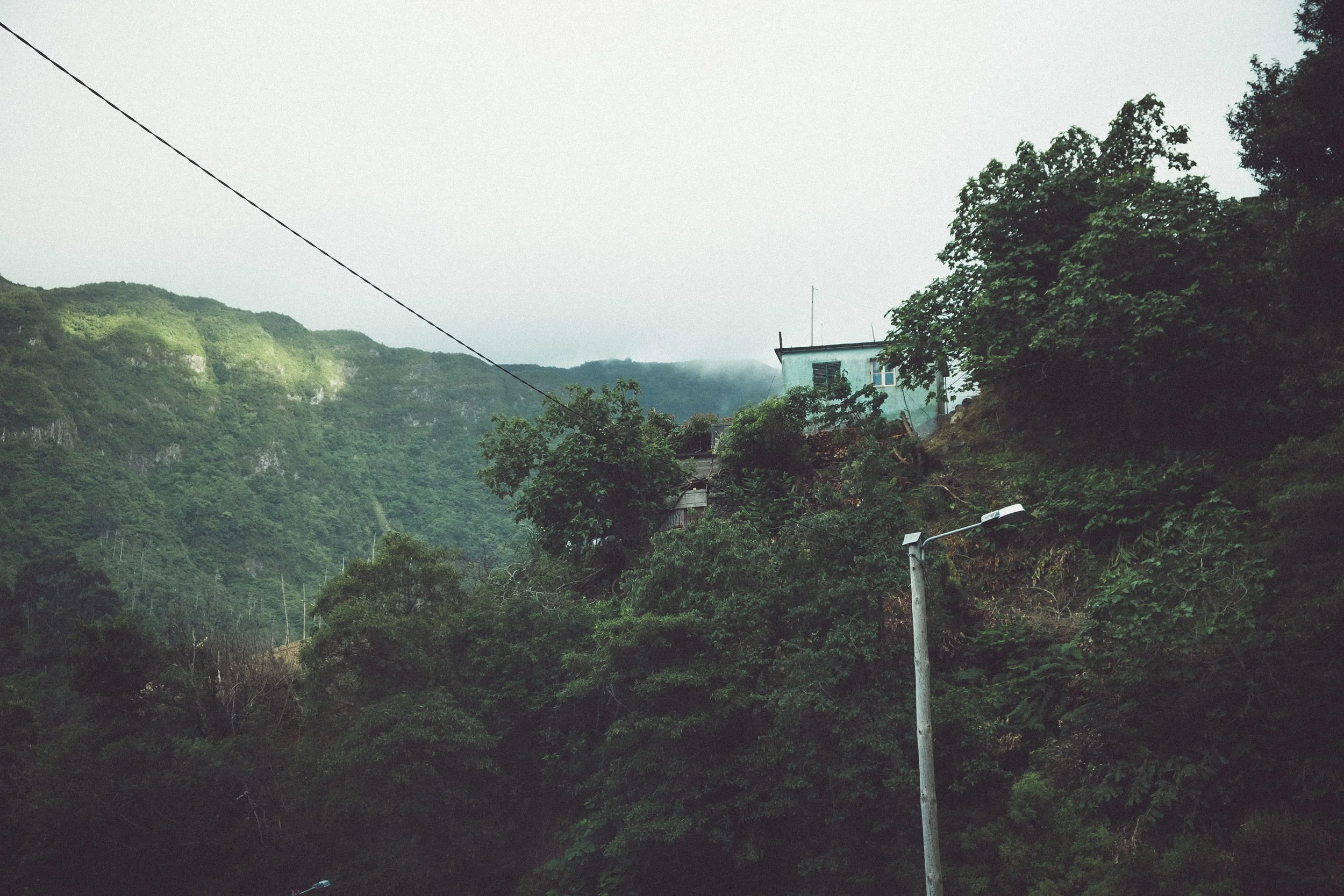 DSCF5937.jpg