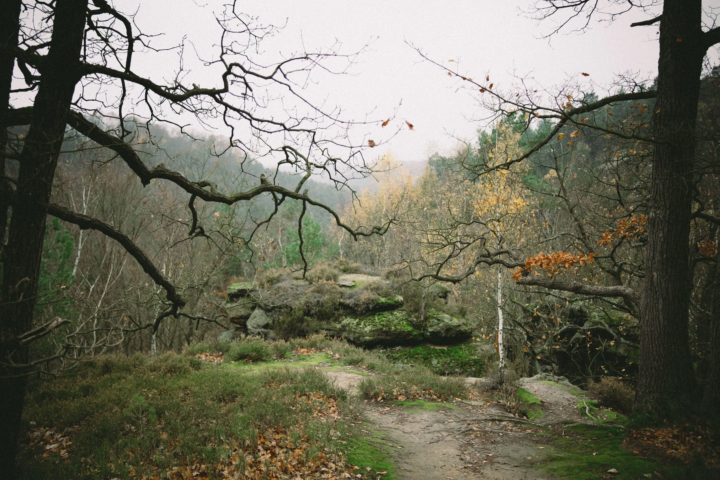 DSCF8022.jpg