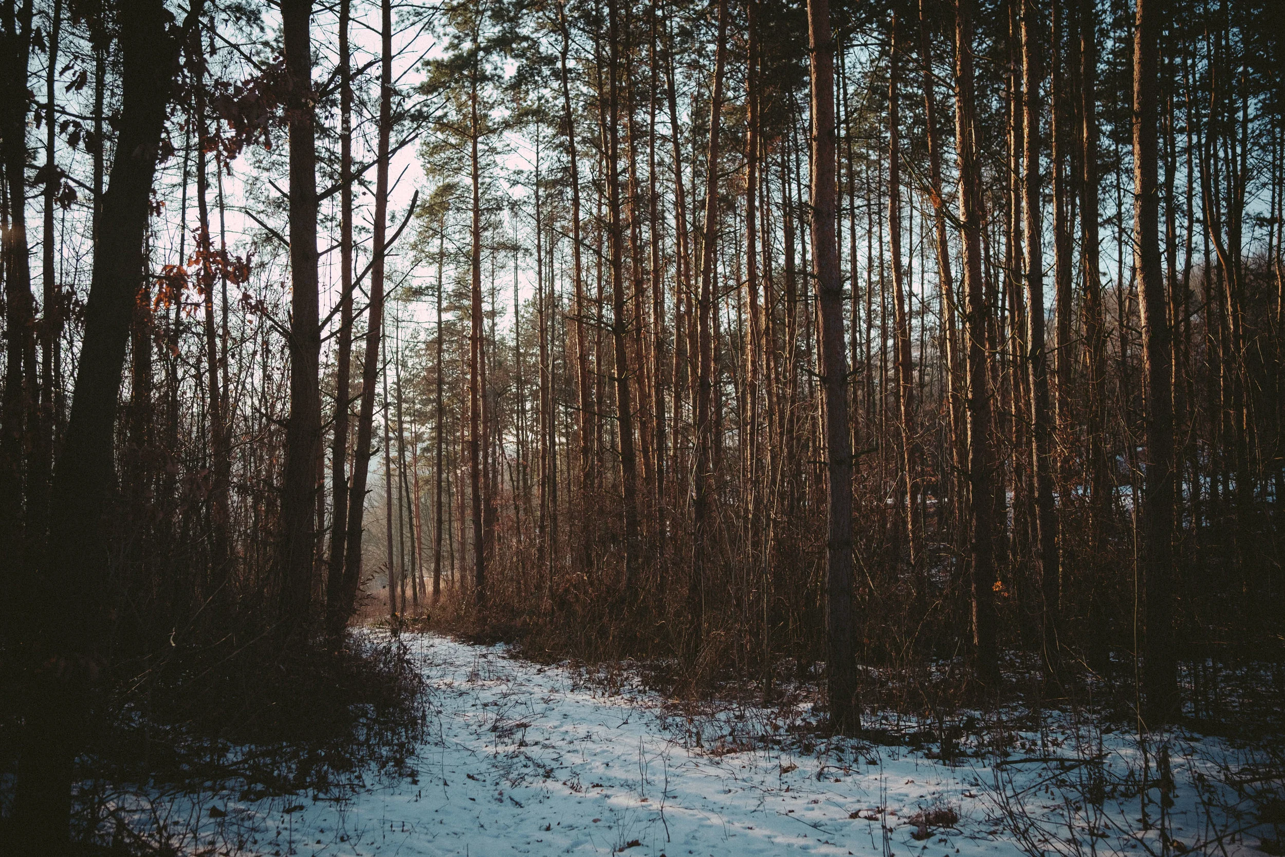 DSCF0115.jpg
