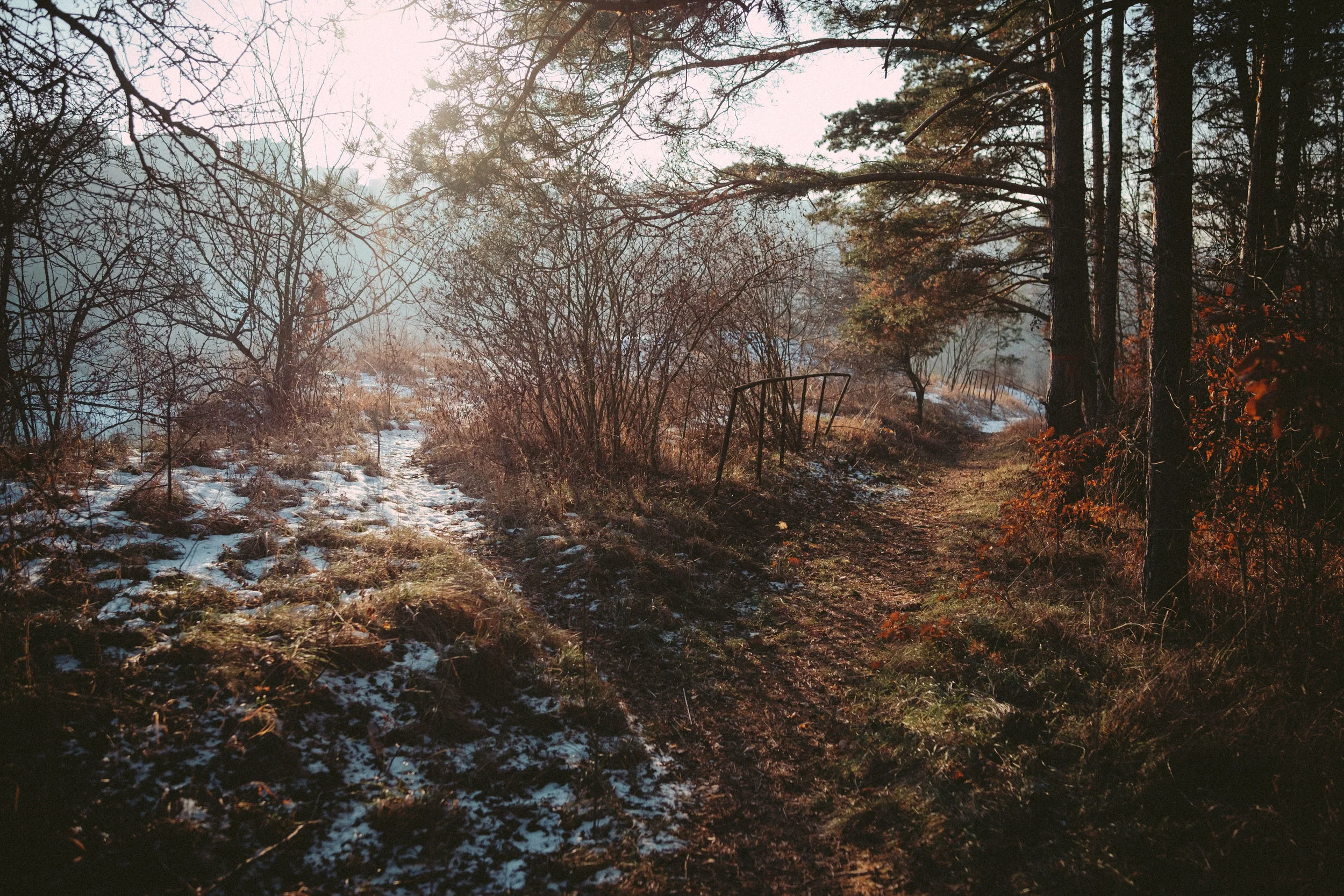 DSCF0118.jpg