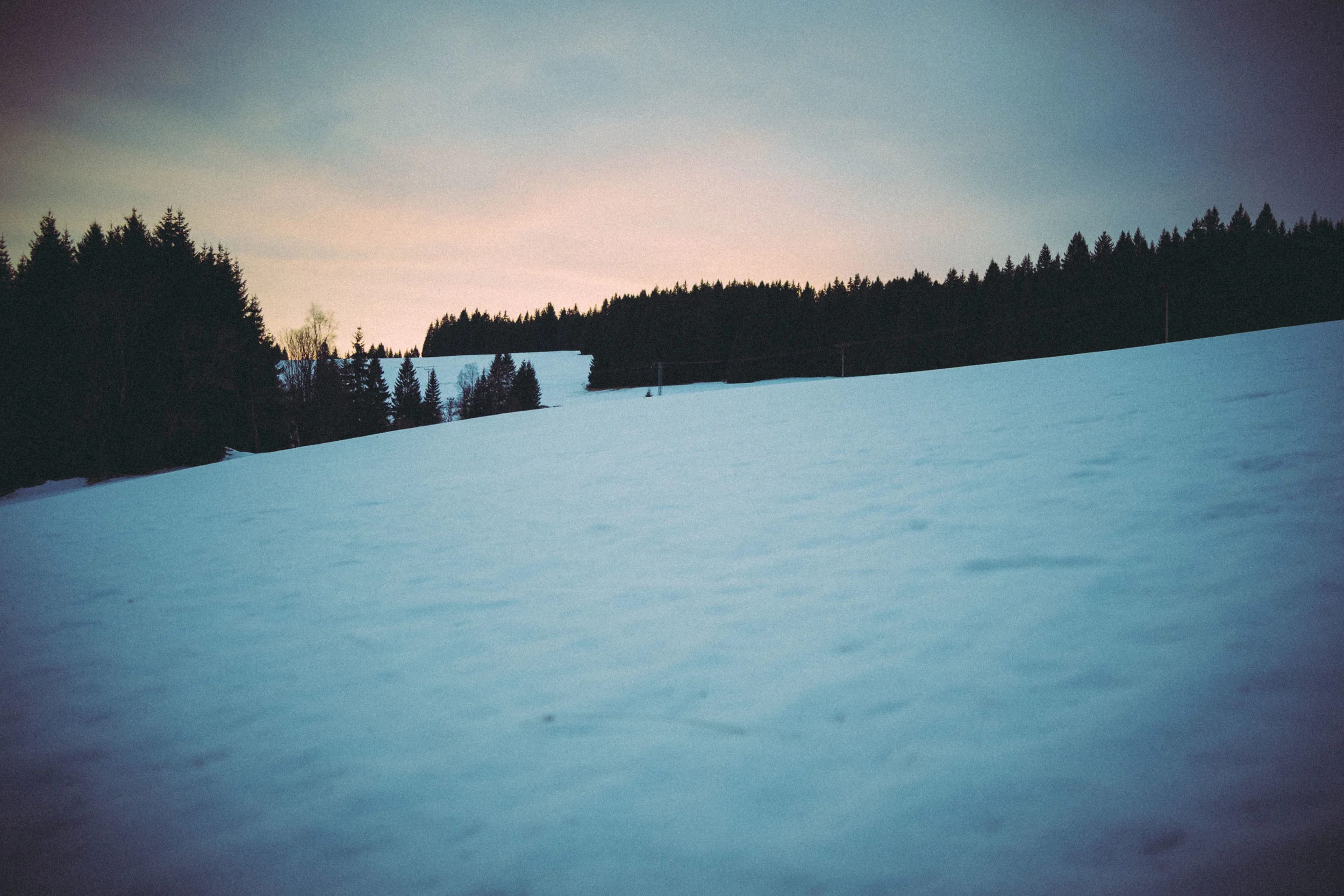 DSCF0708.jpg