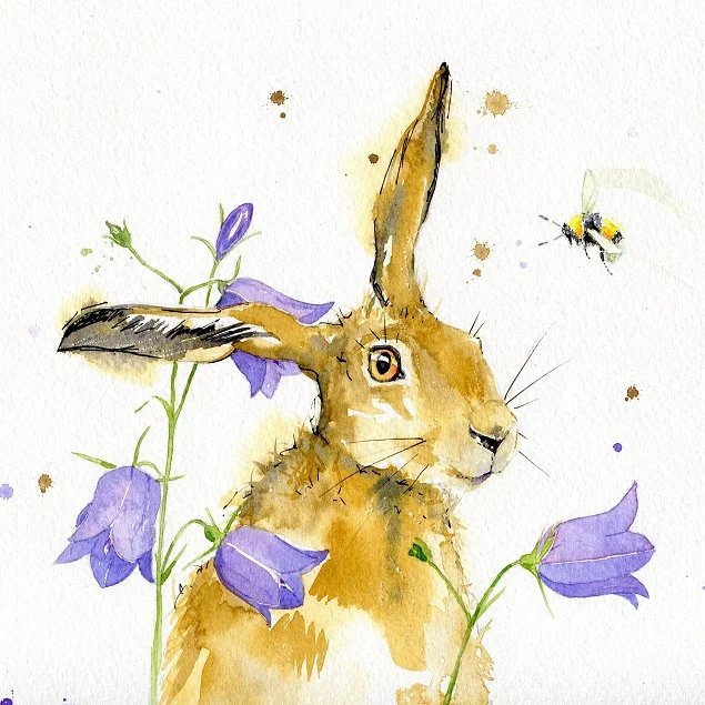 squarehare.jpg
