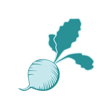 Tayste-Beet.jpg