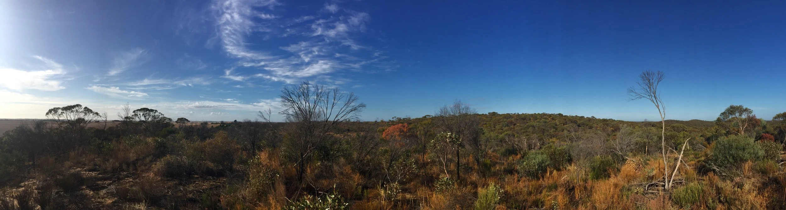 patchewollock-bush-block