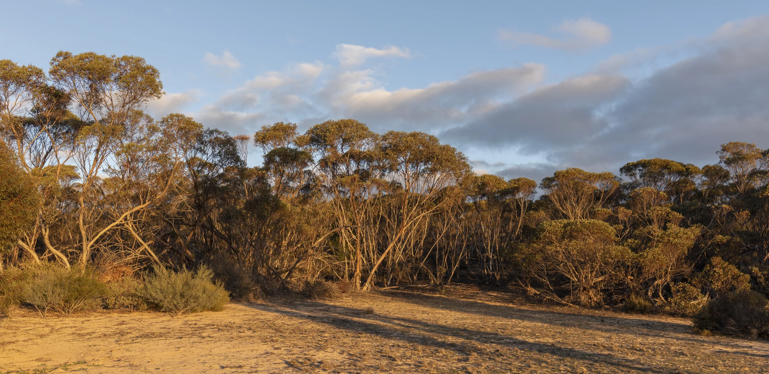 patchewollock-conservation-retreatjpg