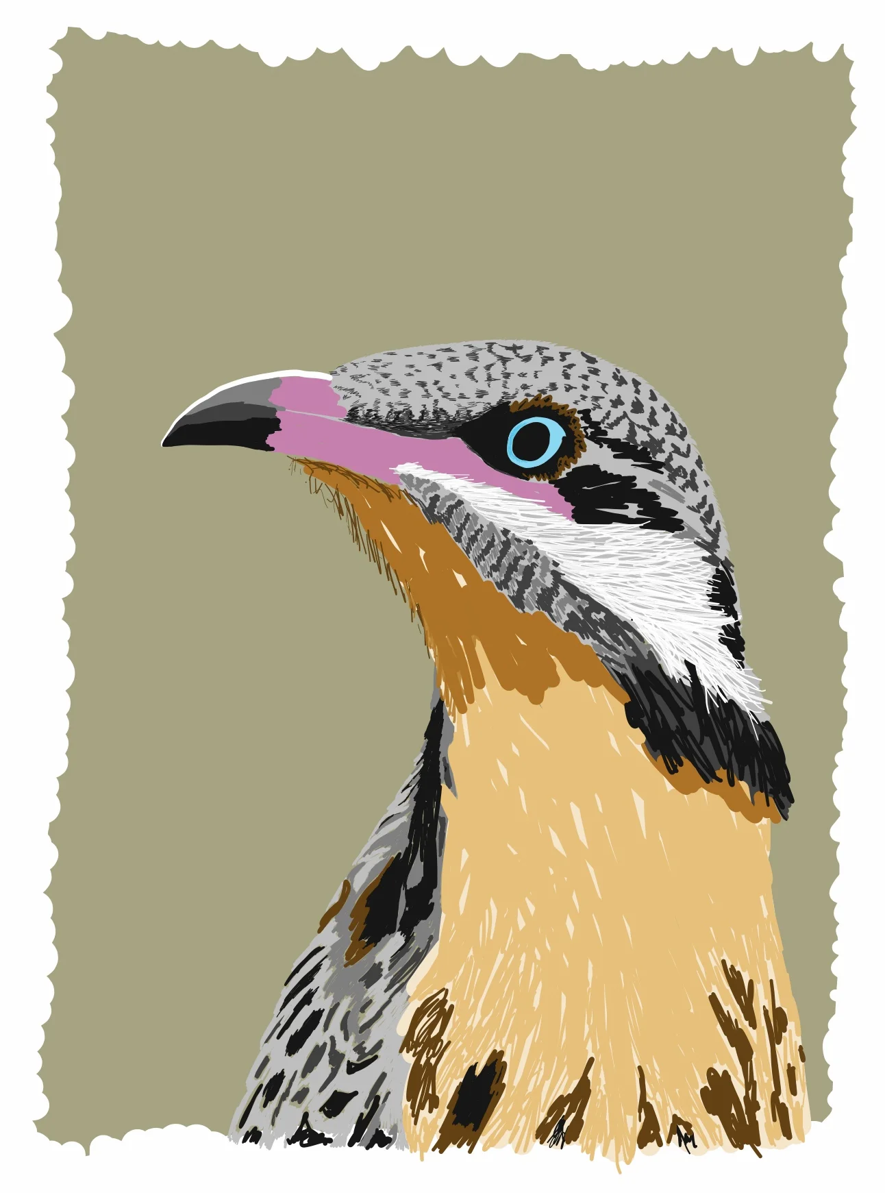 spinycheekedhoneyeater-drawing.jpeg