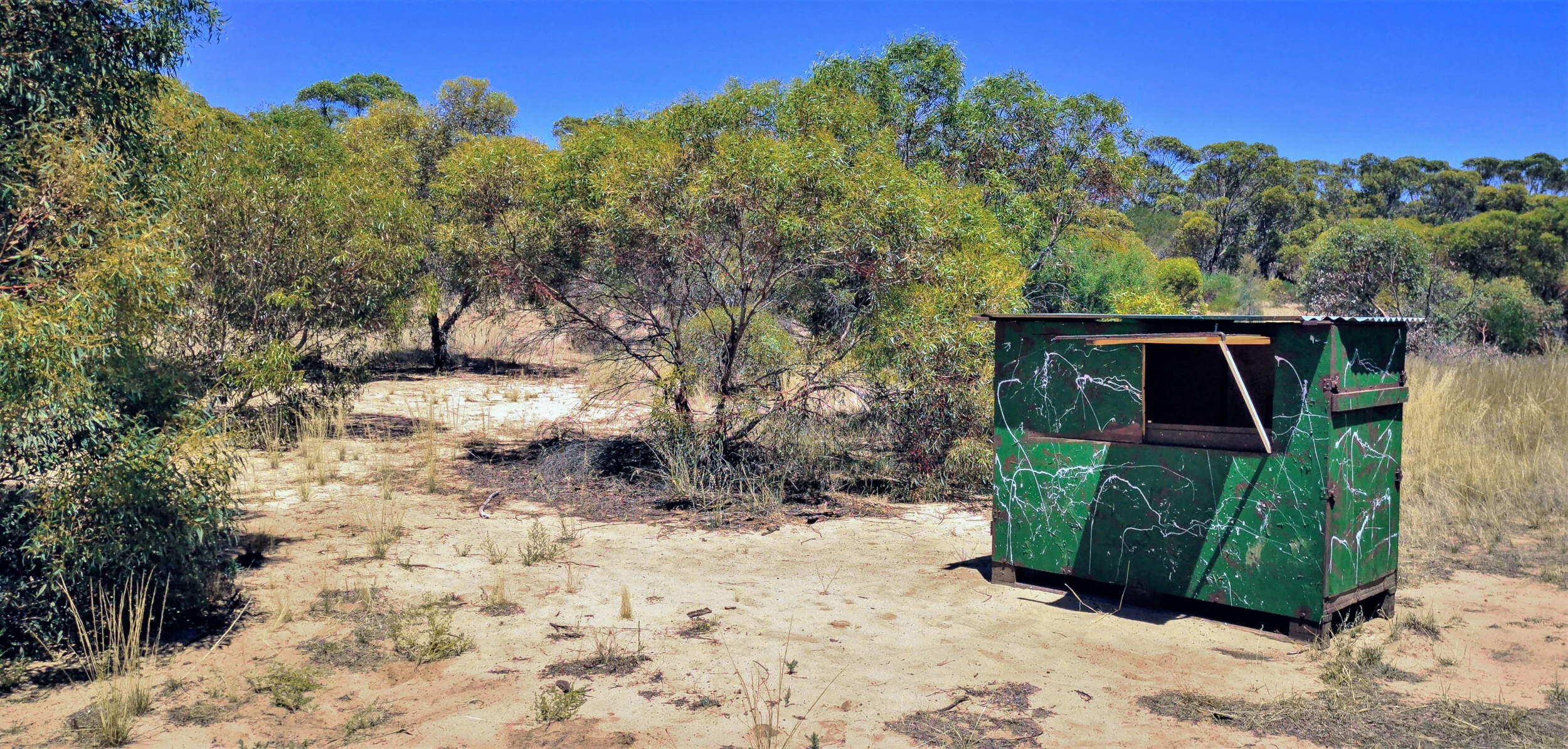 20210109-Bird hide.jpg