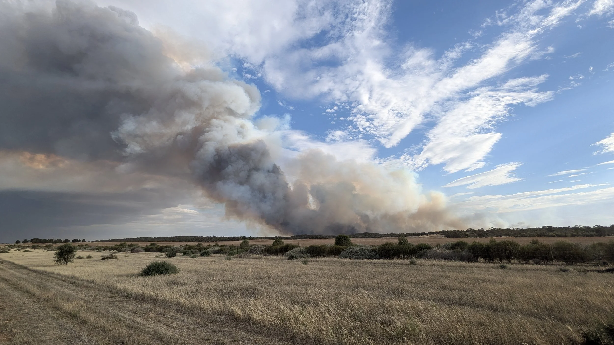 Looking fom our paddock to the bush block