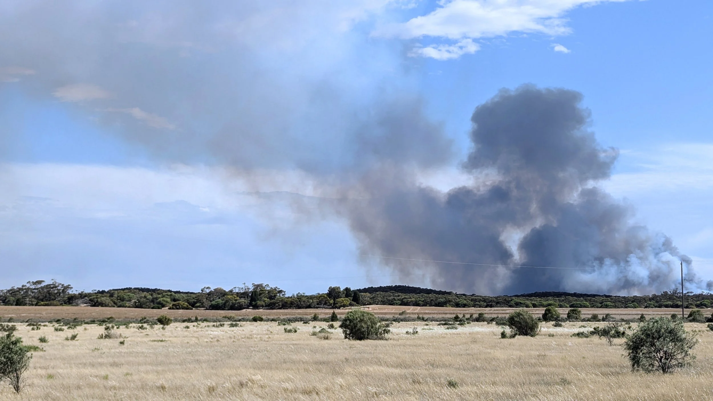 Tree line on the left is our block; burning area is the park