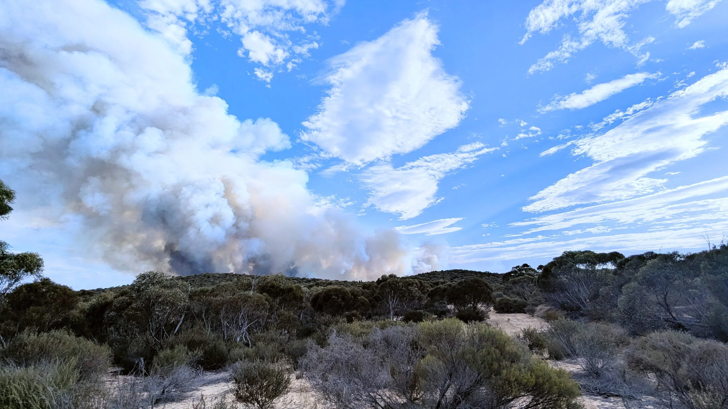 Watching the fire moving left to our property
