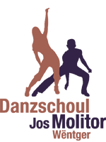 Danzschoul Logo.png