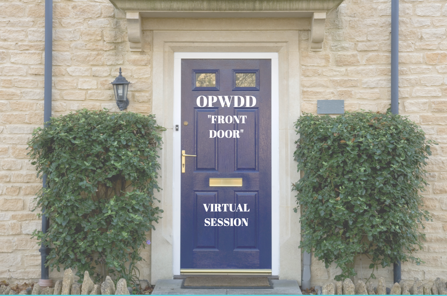 OPWDD - "Front Door" Virtual Session 