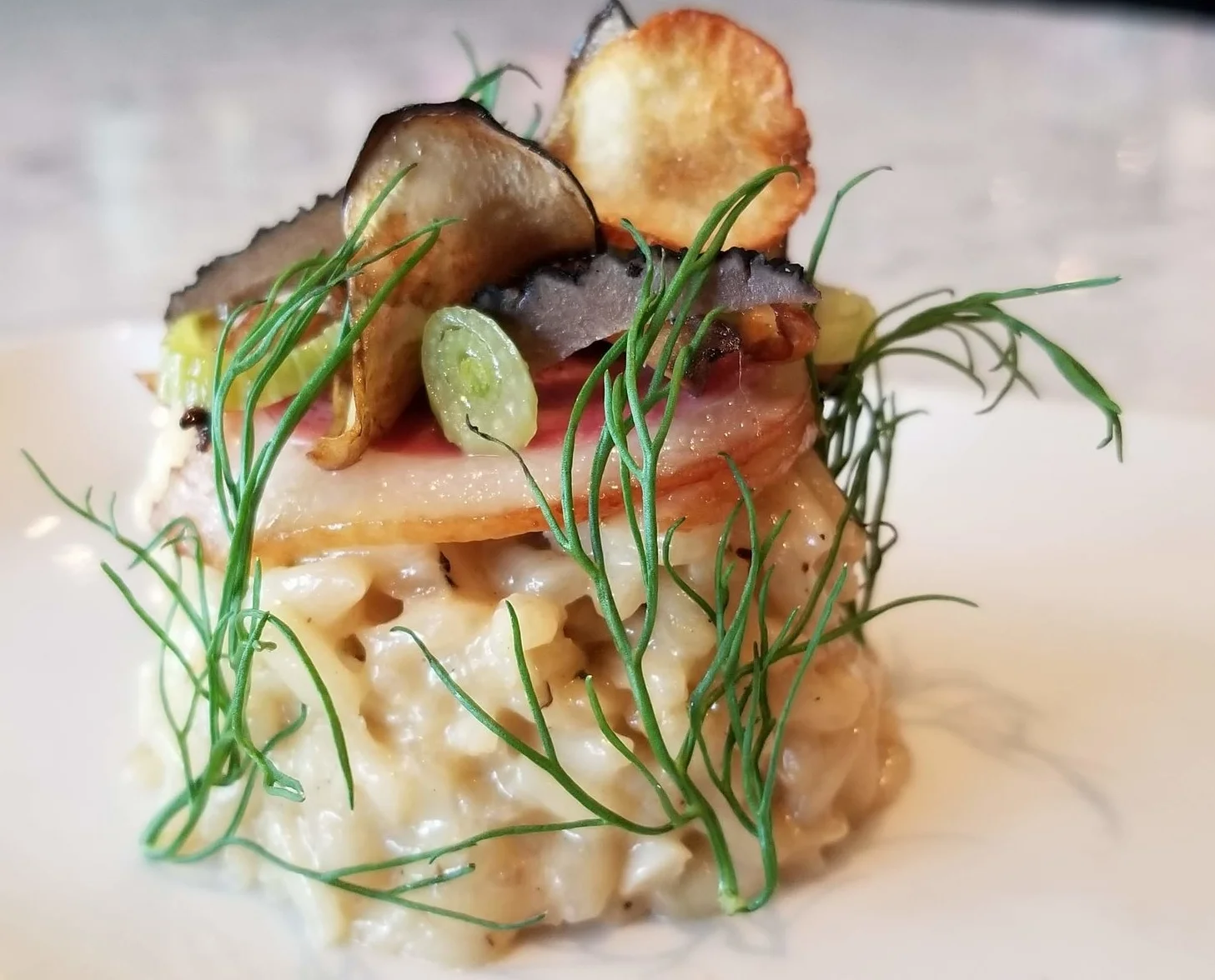 Taleggio . Risotto . Truffle . Cured/Smoked Duck . Candied Orange/Fennel Puree