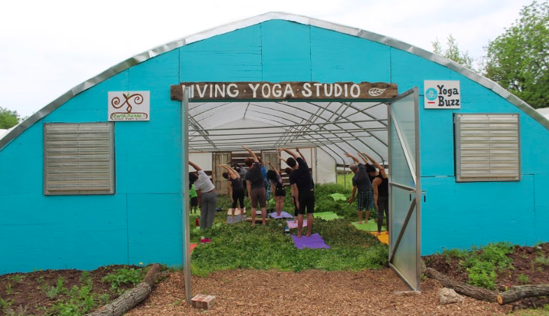 Living Yoga Studio In Action.png