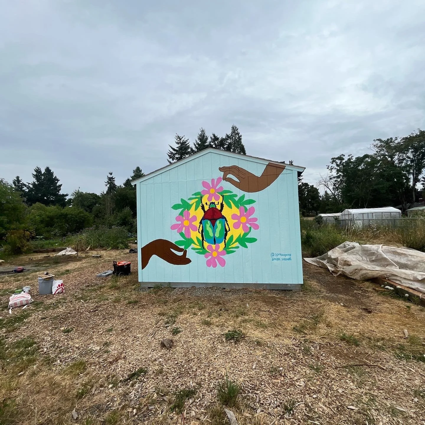 3756086B-279F-48CE-B3FB-73A1D957E880 2.JPG