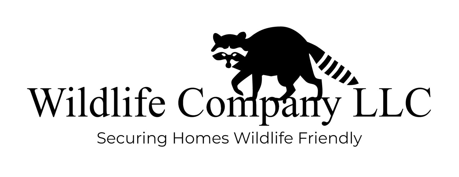 Wildlife Company LLC