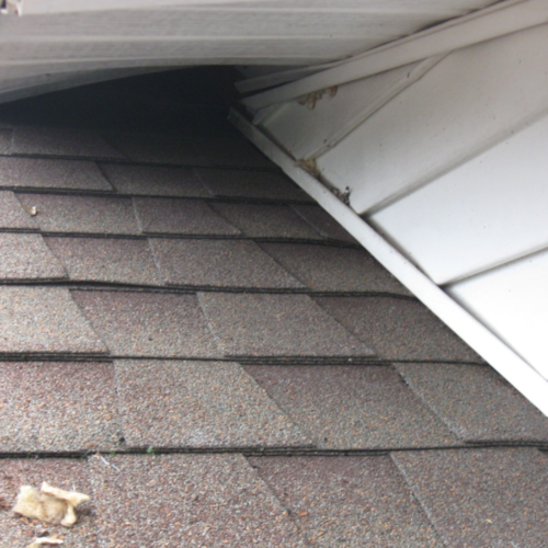 Vinyl soffit pushed up out of place by raccoons entering an attic