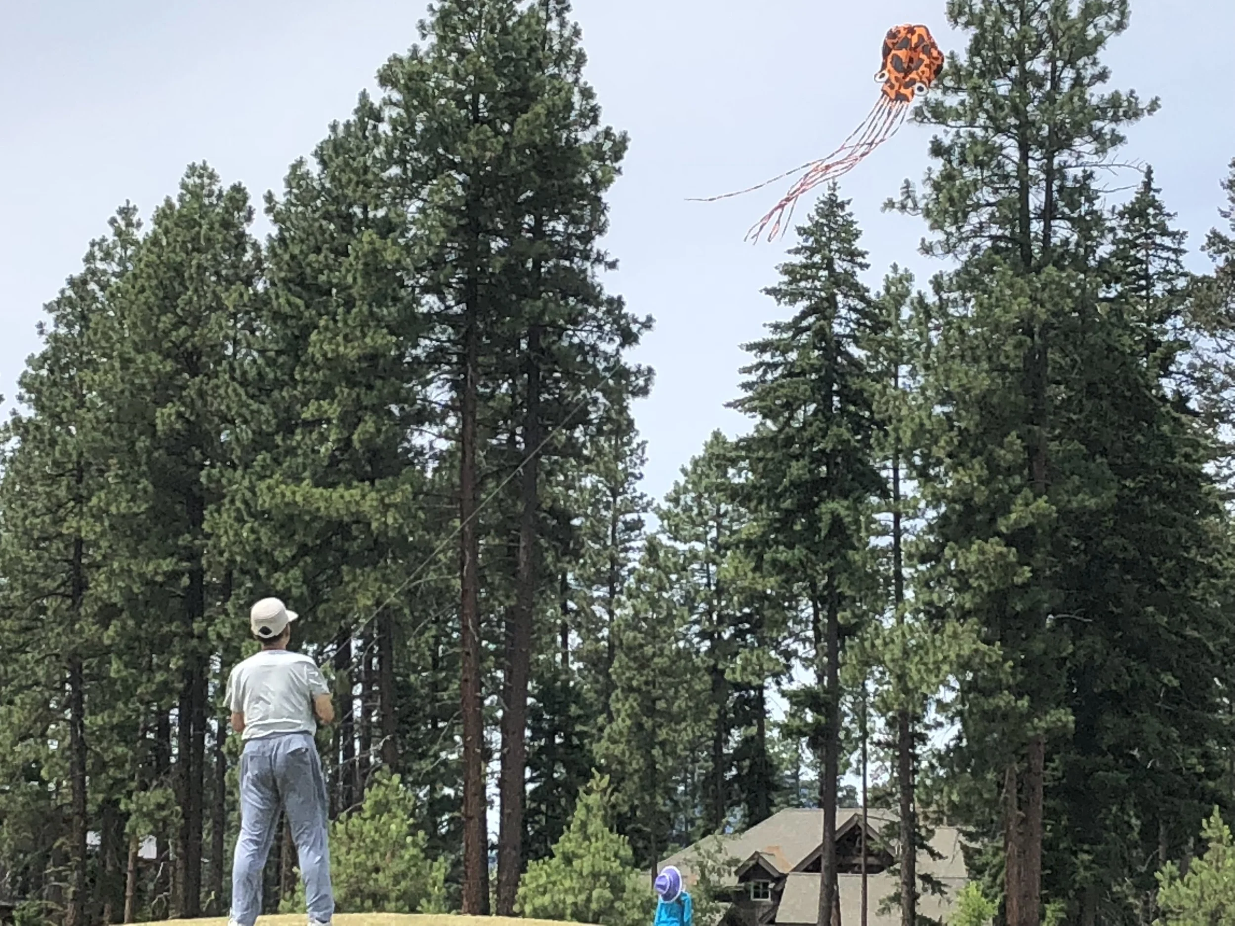  In summer the activity cabin at Dawson park is open, providing complimentary sports equipment: tennis rackets, kites, soccer and basket balls, hoola hoops, etc. 