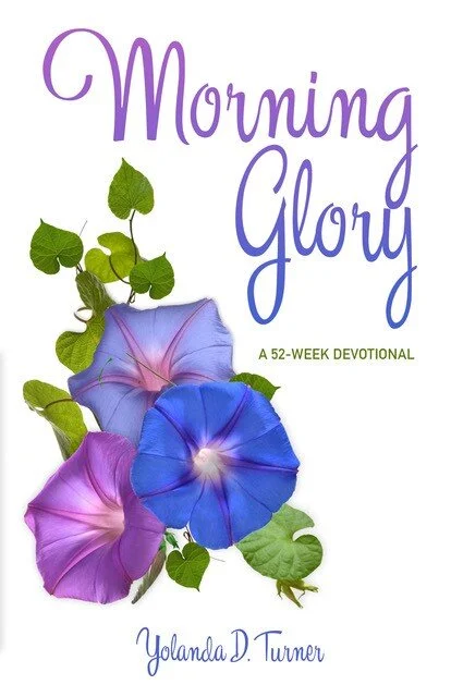 Morning Glory Front Cover.jpeg