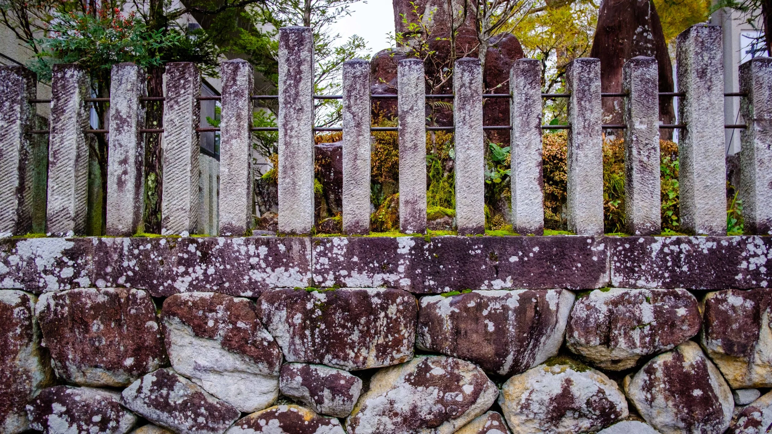 Japan 2025 webpage-13.jpg