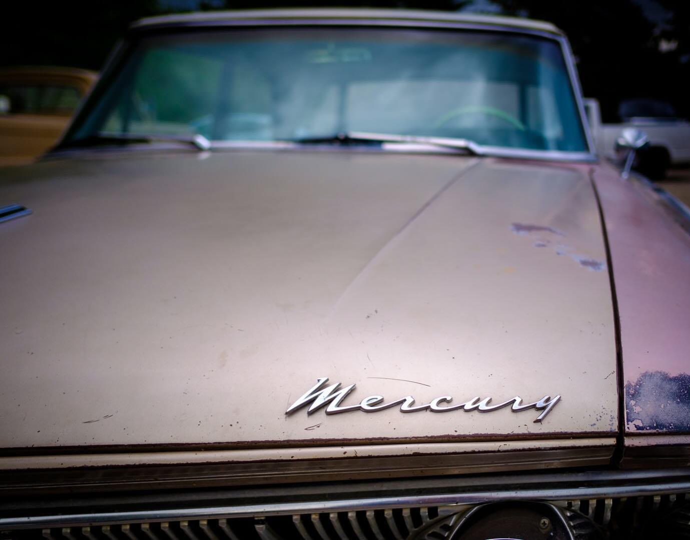 Mercury.
.
.
.
#mercury #fuji #fujifilm #fujifilm_xseries #fujixe3 #fujifilmxe3