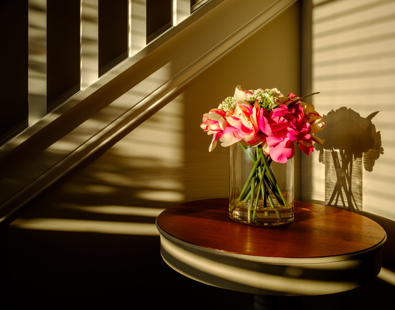 "Morning Sun" | January 2026 | Topic (Shadows) - Print | Acceptance (Score: 13)