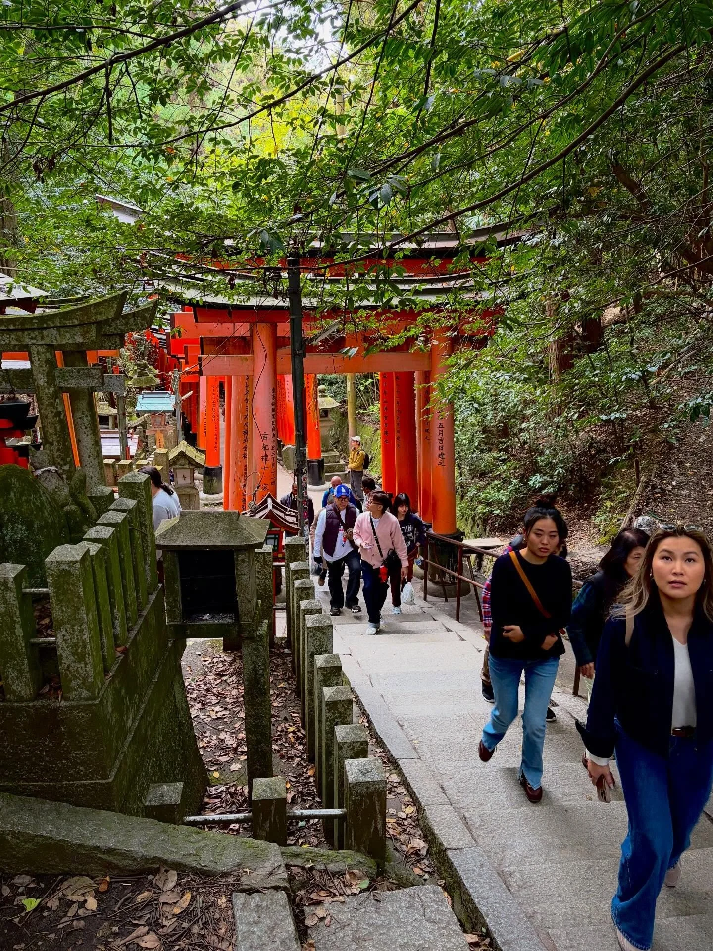 I&rsquo;ve never seen Fushimi Inari so busy. Still was able to get a few good shots.
.
.
.
#fushimiinari #kyoto #japan #kyotojapan #torigate