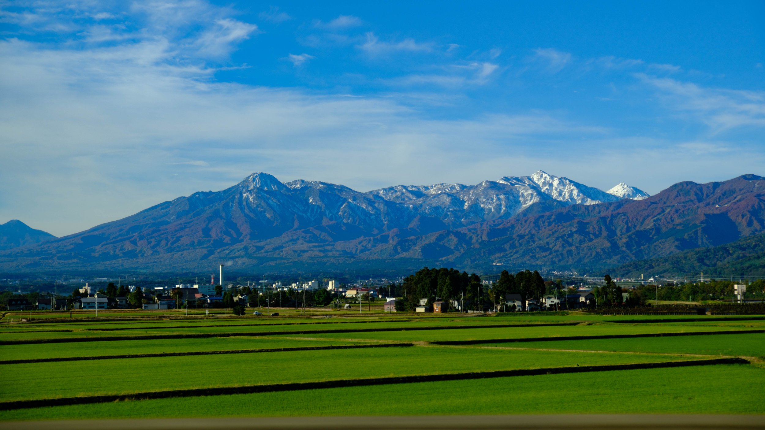 Japan 2025 webpage-18.jpg