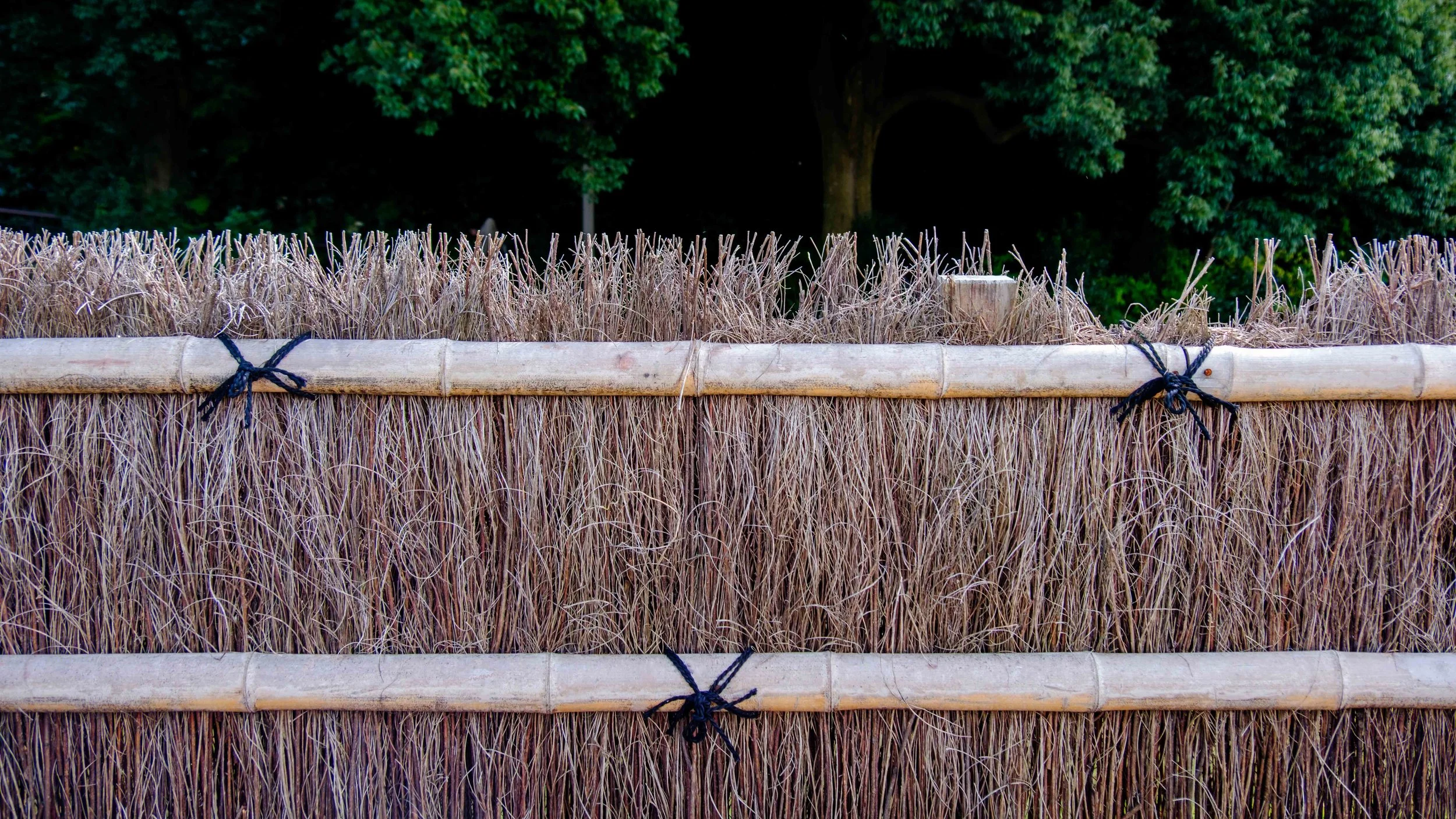 Japan 2025 webpage-20.jpg