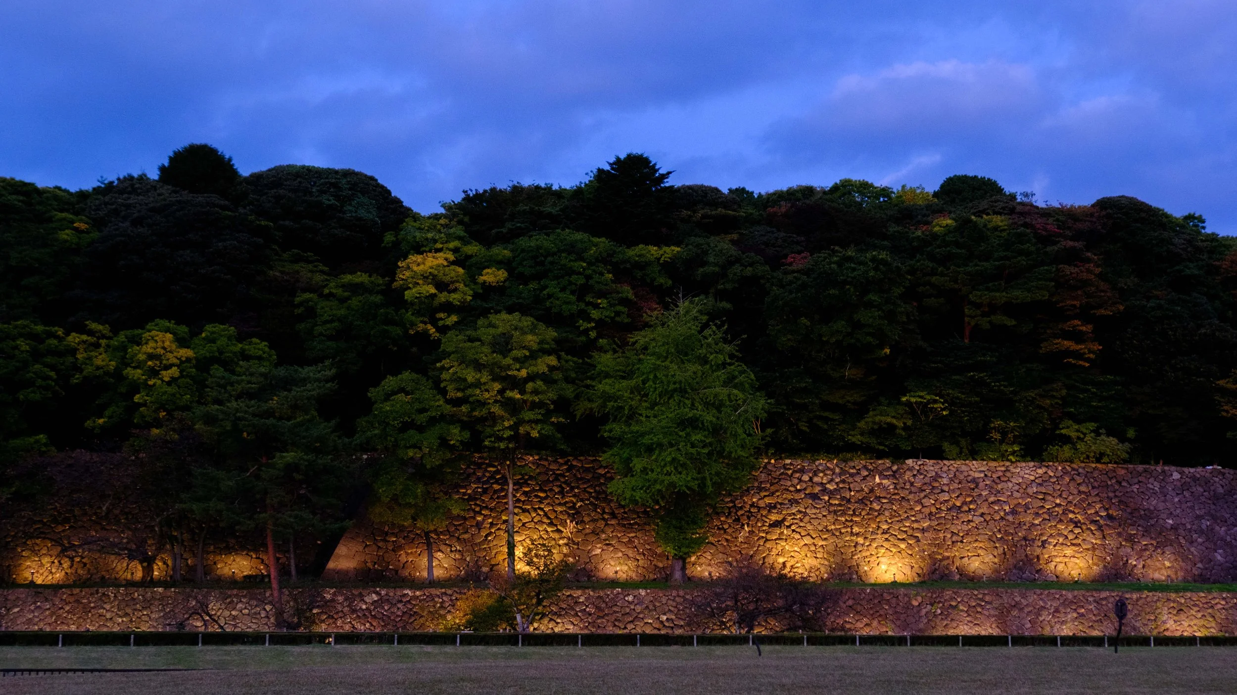 Japan 2025 webpage-39.jpg