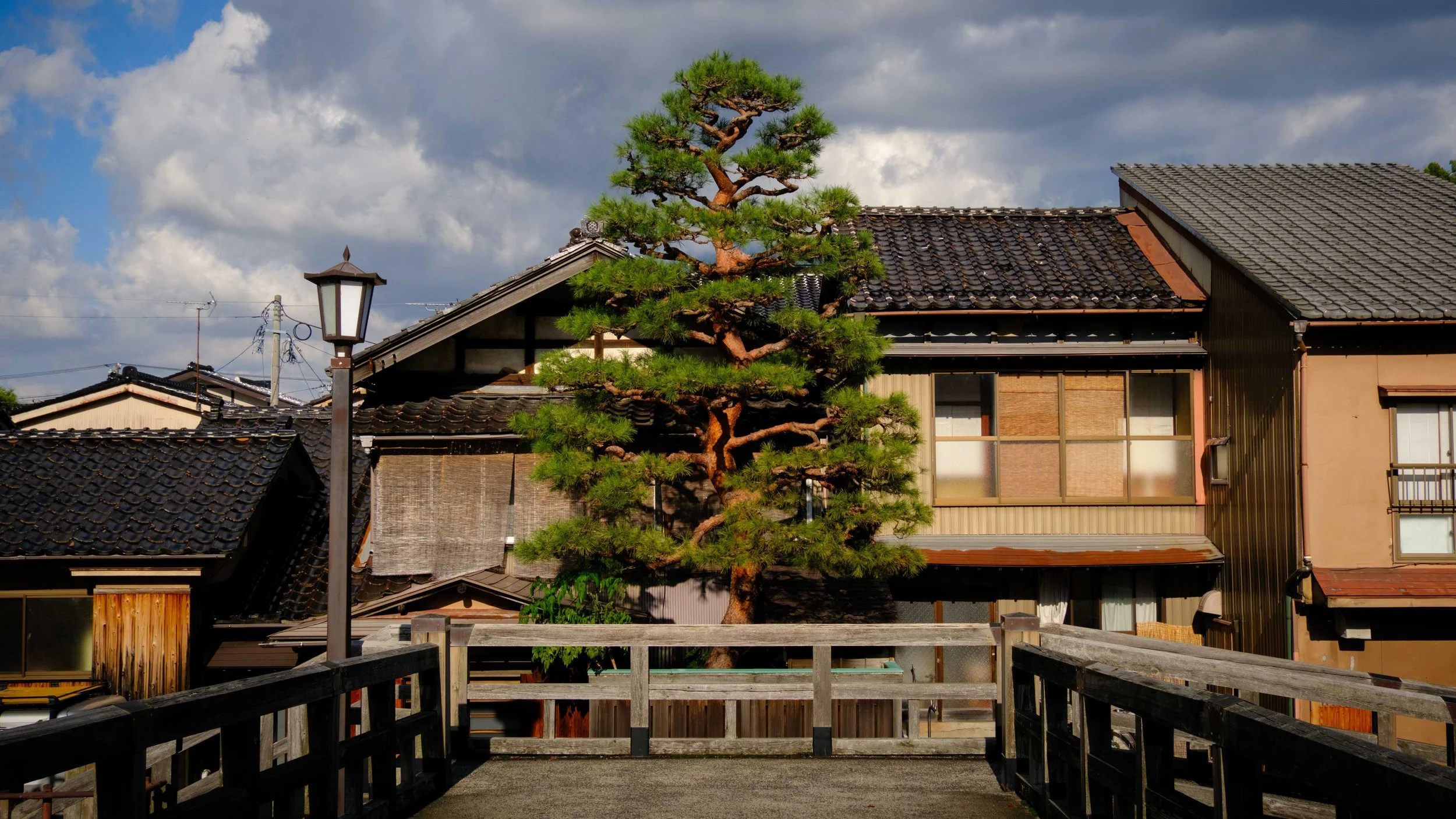 Japan 2025 webpage-32.jpg